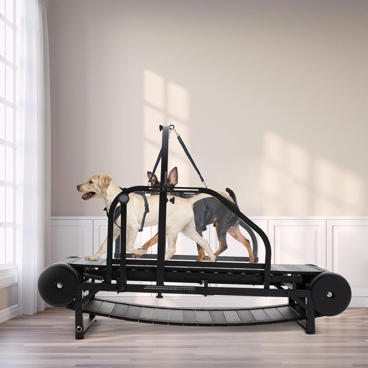 Test : tapis de course pour chiens Rampe Réglable 158, 8 kg
