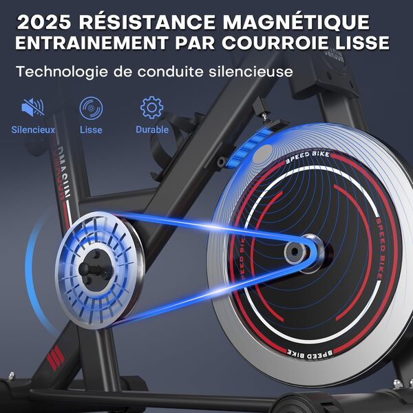 Vélo d'Appartement, DMASUN Vélo d'Exercice Magnétique Silencieux avec Écran LCD, Résistance Réglable de 0 à 100%, Volant d'inertie Solide, Siège Moelleux et Confortable, Capacité de Charge 160 kg