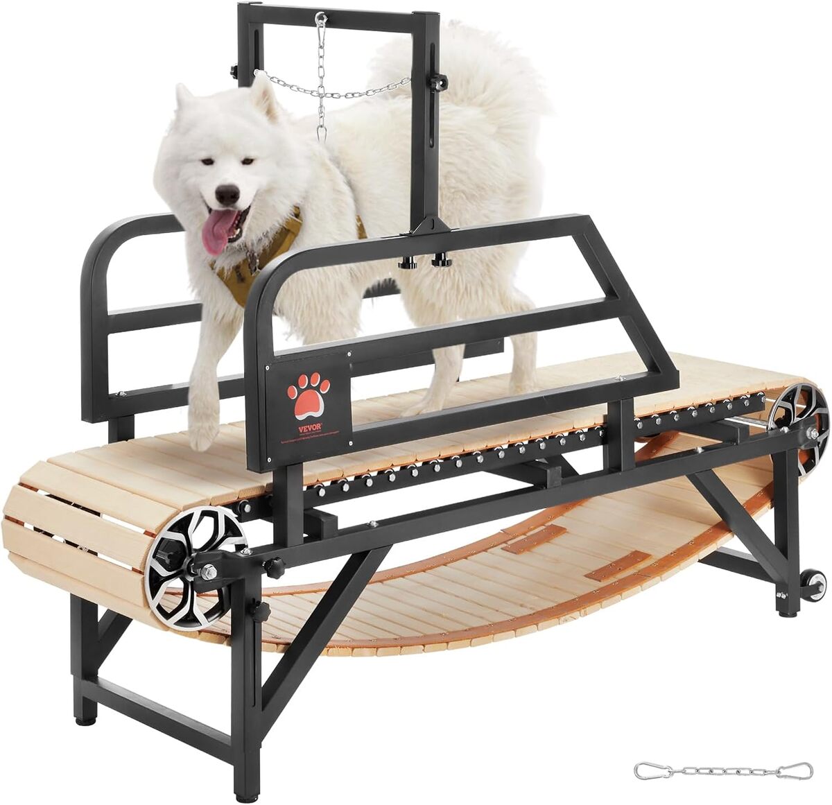 Test du tapis de marche VEVOR pour chiens de taille moyenne