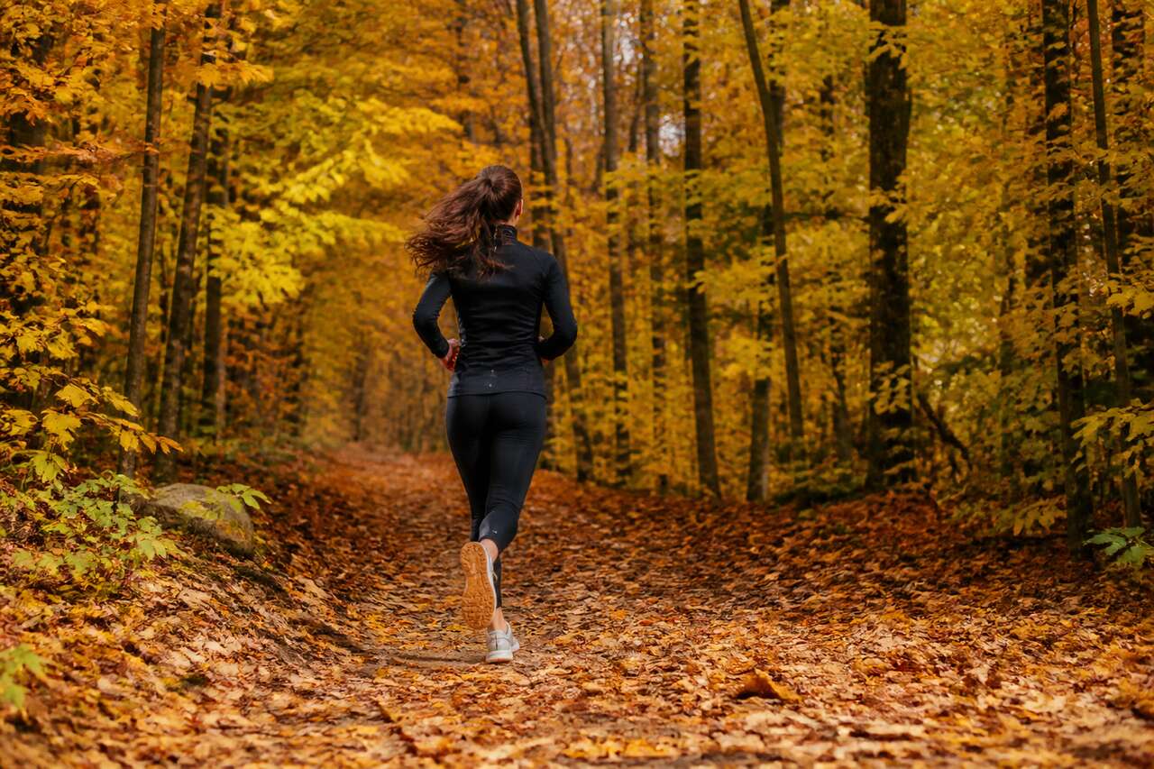 Bonnes habitudes pour courir en automne